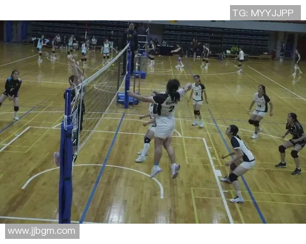 排球之魂:深入了解成都排球队的团队精神与竞技意识 排球之魂:深入了解成都排球队的团队精神与竞技意识